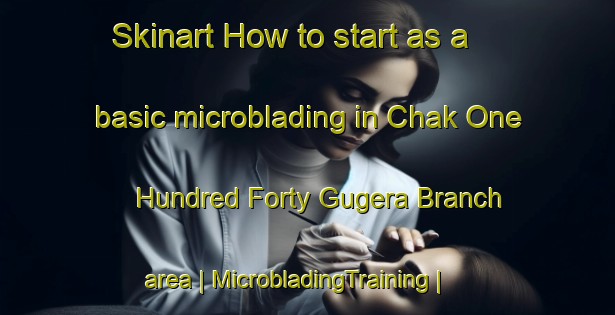 Skinart How to start as a basic microblading in Chak One Hundred Forty Gugera Branch area | MicrobladingTraining | MicrobladingClasses | SkinartTraining-Pakistan